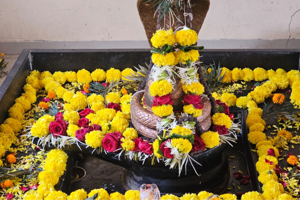 Kaal sarp puja trimbakeshwar