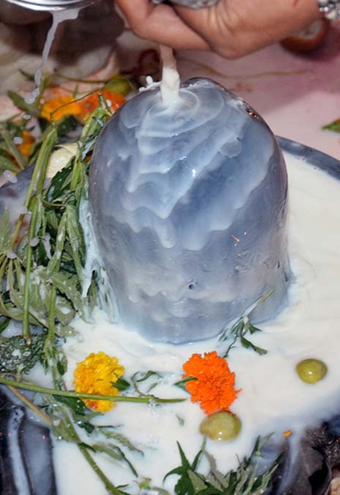 rudrabhishek puja in trimbakeshwar Rudrabhishek puja in trimbakeshwar